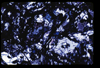 ap1705_01_20