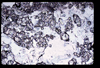 ap1705_03_16