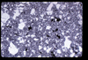 ap1705_03_18