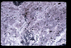 ap1705_04_02