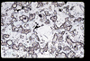 ap1705_04_06