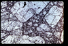 ap1705_04_09