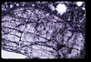 ap1705_04_15