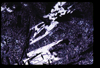ap1705_05_02