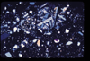 ap1705_05_11
