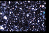 ap1705_05_13