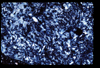 ap1705_05_20