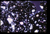 ap1705_06_06