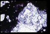 ap1705_06_09