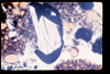 ap1705_06_12