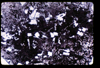 ap1705_06_14