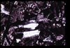 ap1705_06_17
