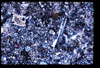 ap1705_07_06