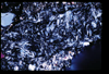 ap1705_07_09