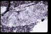 ap1705_07_10