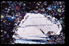 ap1705_07_19