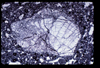 ap1705_08_02
