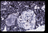 ap1705_08_04