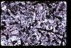 ap1705_08_06