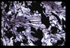 ap1705_08_07