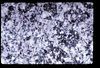 ap1705_08_19
