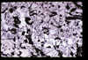 ap1705_09_01