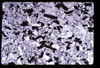 ap1705_09_05