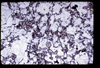 ap1705_09_10