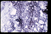 ap1705_09_14