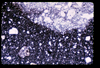 ap1705_09_16