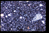 ap1705_09_17