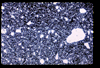 ap1705_09_18