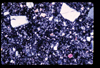 ap1705_09_19