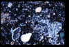 ap1705_10_08