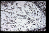 ap1705_10_17