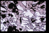 ap1705_11_03