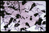ap1705_11_05