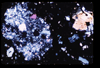 ap1705_11_06