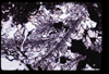 ap1705_11_10
