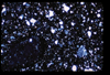 ap1705_11_12