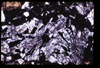 ap1705_11_14