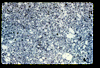 ap1705_11_18