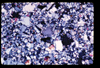 ap1705_11_19