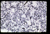 ap1705_11_20