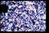 ap1705_12_01