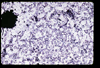 ap1705_12_02