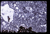 ap1705_12_03