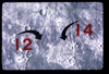 VIEW_01_16