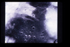 VIEW_02_04