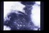 VIEW_02_05